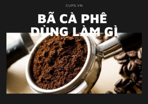 Bã Cà Phê Dùng Để Làm Gì - 12 Lợi Ích Hiệu Quả Bất Ngờ