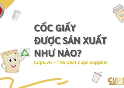 CỐC GIẤY ĐƯỢC SẢN XUẤT NHƯ NÀO