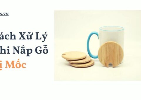 Cách Xử Lý Khi Nắp Gỗ Bị Mốc