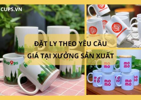 địa chỉ đặt ly theo yêu cầu- giá tại xưởng