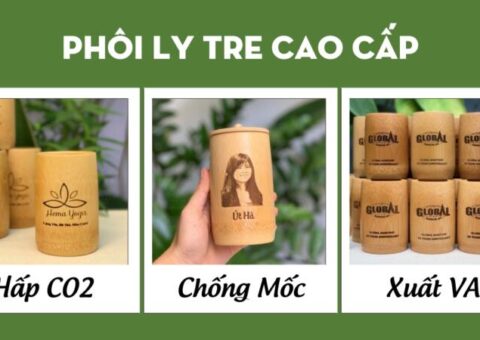Phôi ly tre chất lượng cao – Giá tại xưởng Vinacup