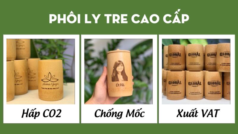 Phôi ly tre chất lượng cao – Giá tại xưởng Vinacup