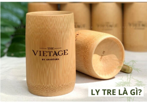 Xu hướng ly tre làm quà tặng xanh 2026 cho doanh nghiệp và tổ chức